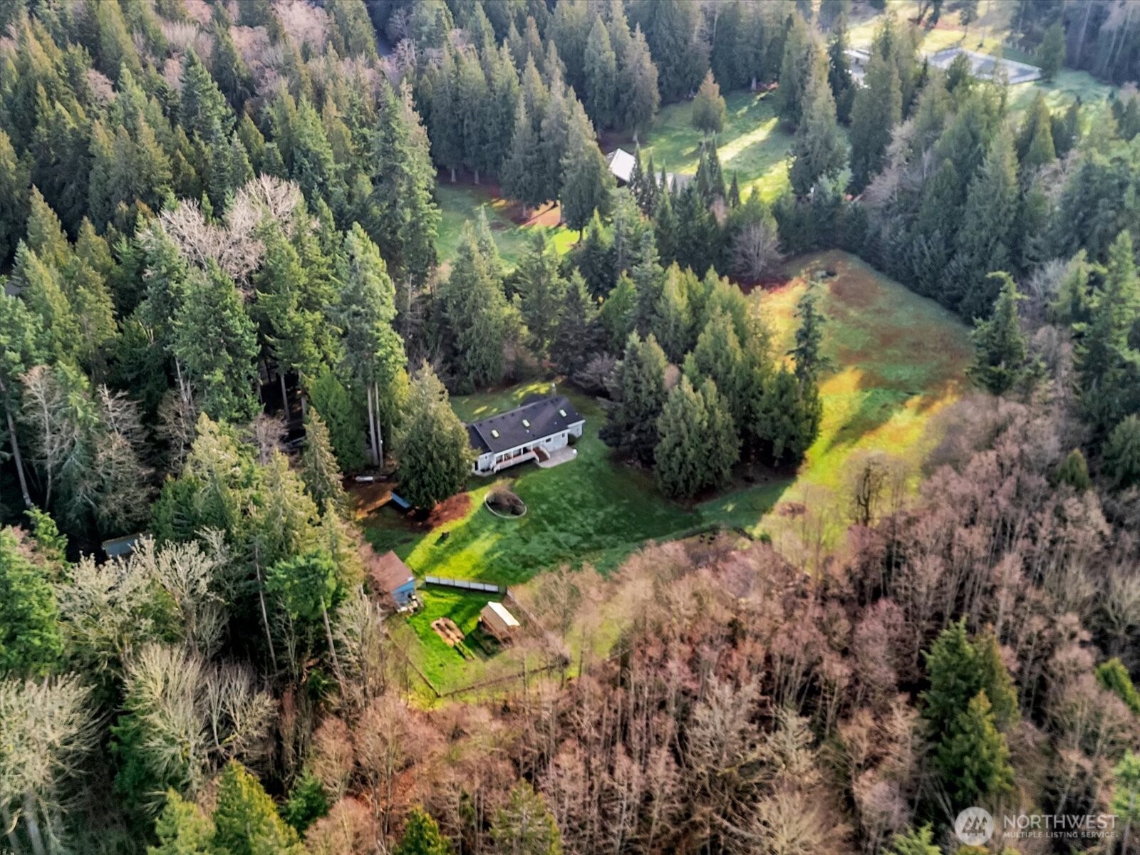 7417 Silvana Terrace Road Stanwood, WA 98292 - Photo 33 of 38 a view of a yard with plants and tree