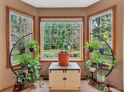 a room with potted plants and a potted plant