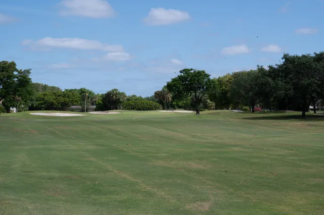 a grassy field with trees in the background