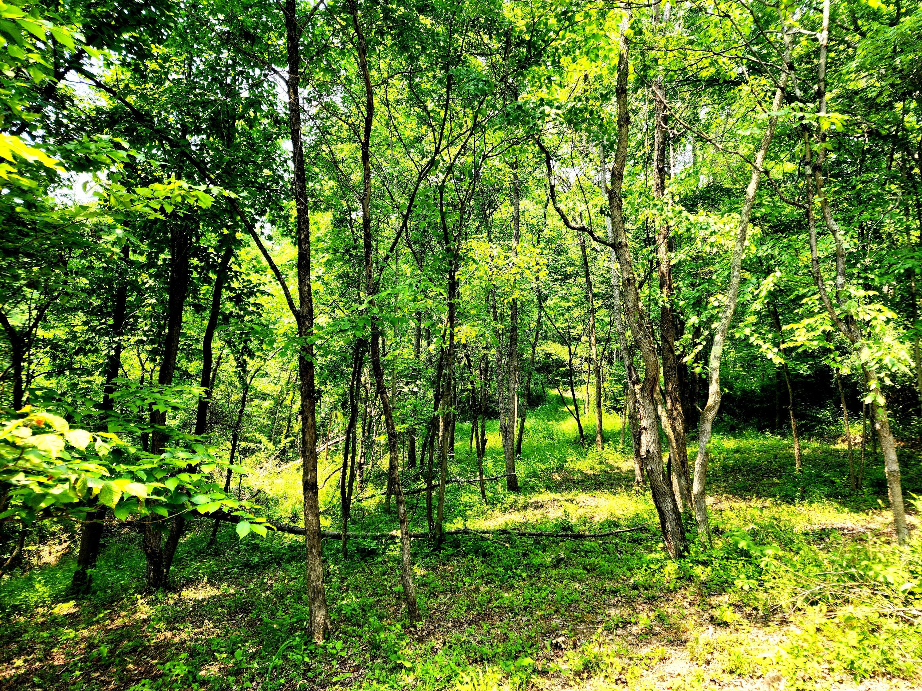 15 Hoop Pole Road Roseville, OH 43777 - Photo 41 of 42 20230607_131000