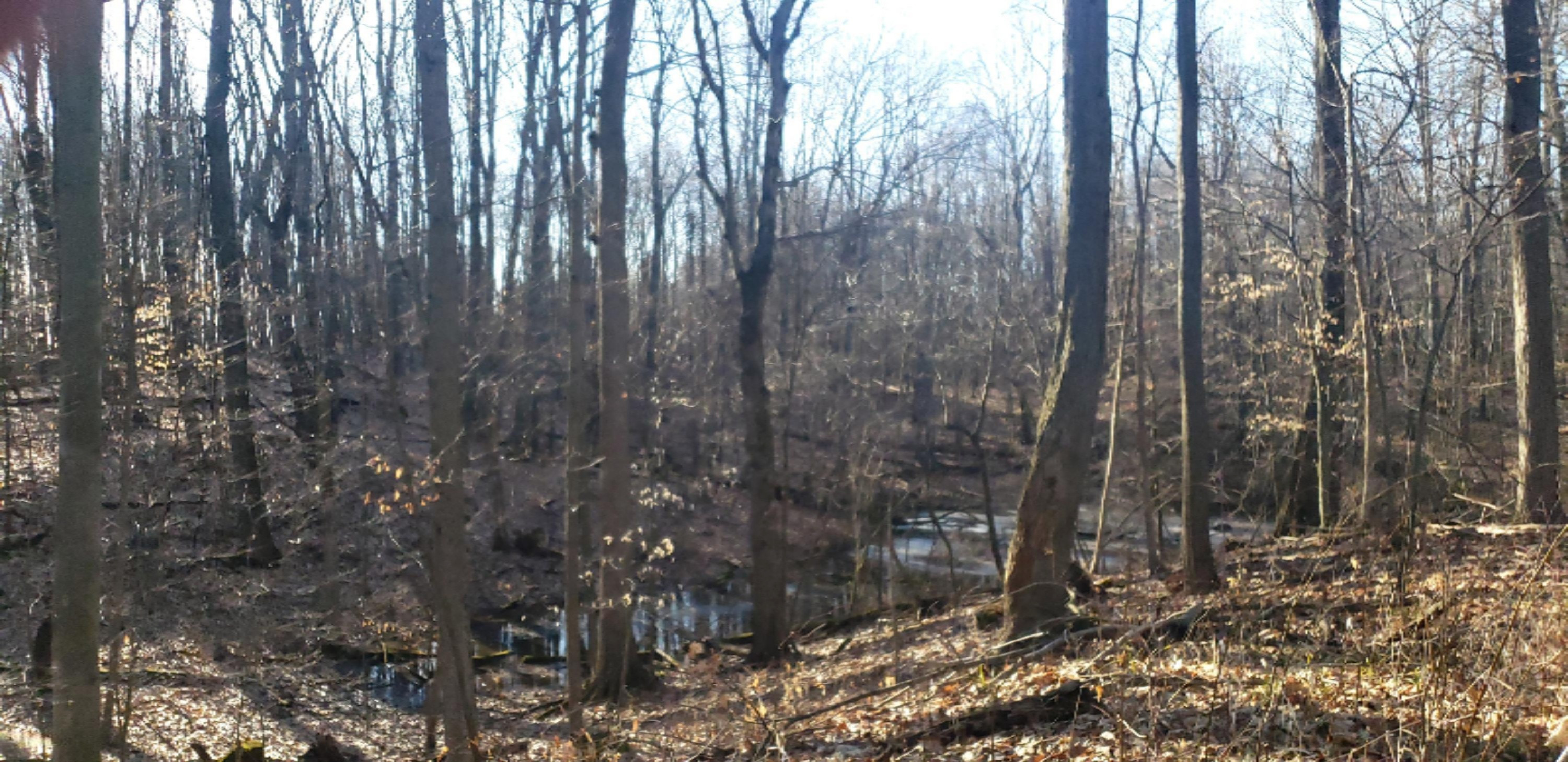 4792 Jordan Road Freeport, MI 49325 - Photo 54 of 61 20200310_174435