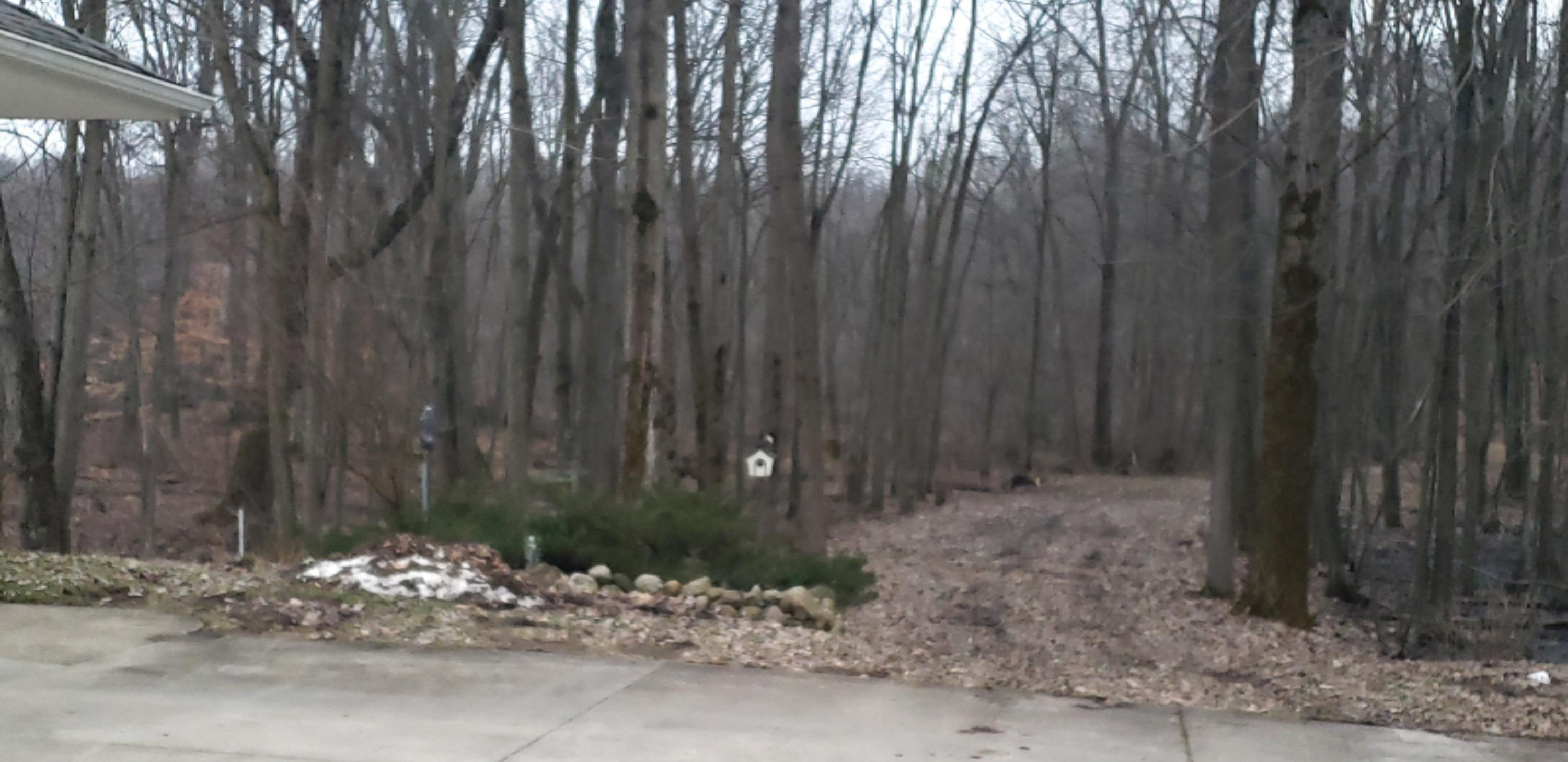 4792 Jordan Road Freeport, MI 49325 - Photo 59 of 61 945
