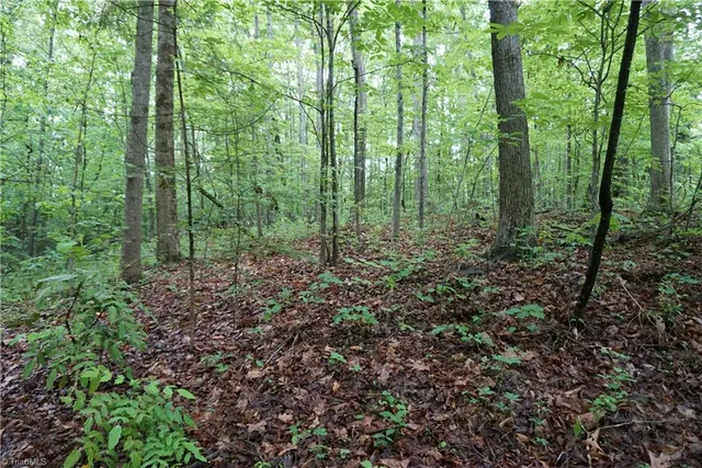 $65,000 | 1 Woodridge Lane, Yadkinville, NC 27055