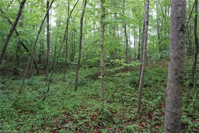 $65,000 | 1 Woodridge Lane, Yadkinville, NC 27055