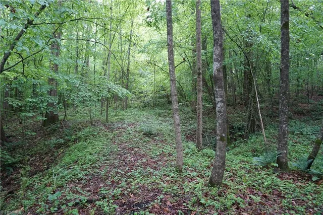 $65,000 | 1 Woodridge Lane, Yadkinville, NC 27055
