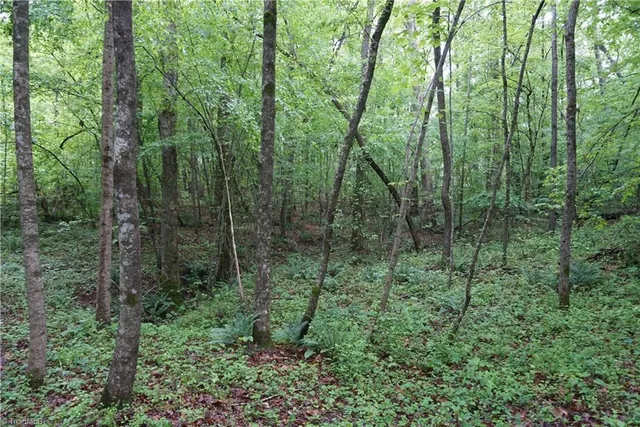 $65,000 | 1 Woodridge Lane, Yadkinville, NC 27055