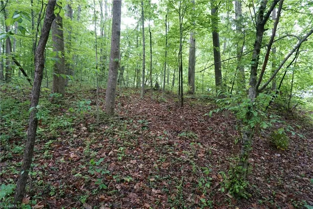 $65,000 | 1 Woodridge Lane, Yadkinville, NC 27055