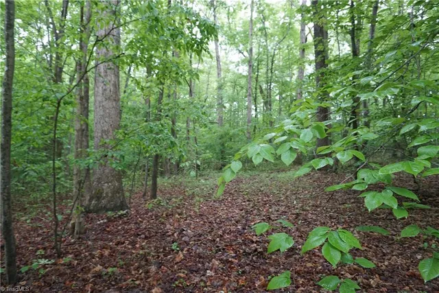 $65,000 | 1 Woodridge Lane, Yadkinville, NC 27055