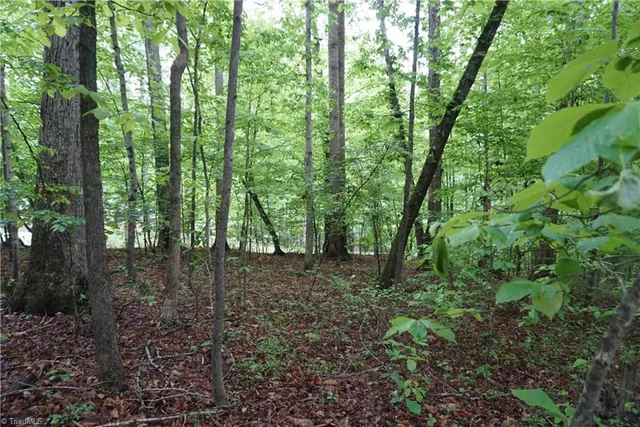 $65,000 | 1 Woodridge Lane, Yadkinville, NC 27055