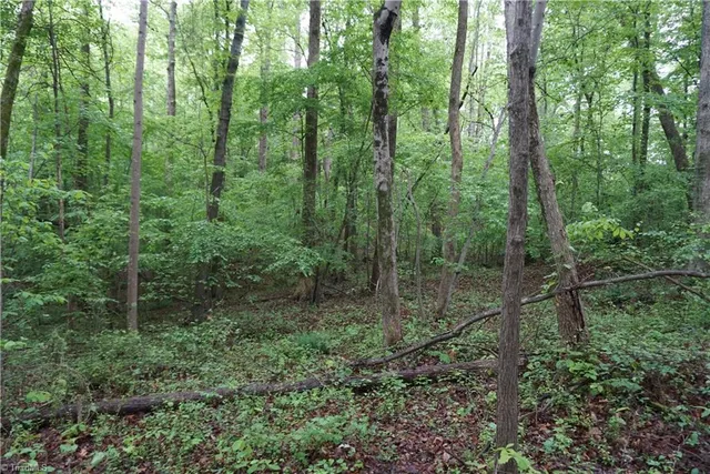 $65,000 | 1 Woodridge Lane, Yadkinville, NC 27055