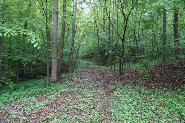 $65,000 | 1 Woodridge Lane, Yadkinville, NC 27055