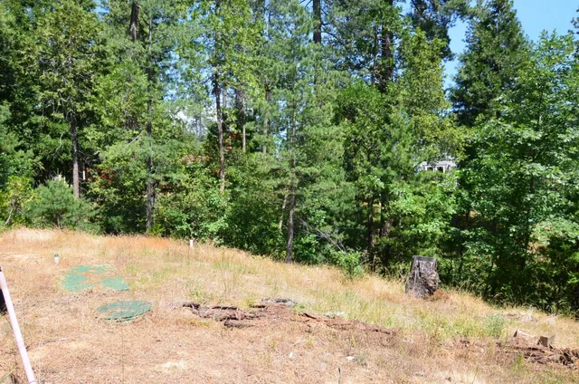 a view of a yard covered in snow