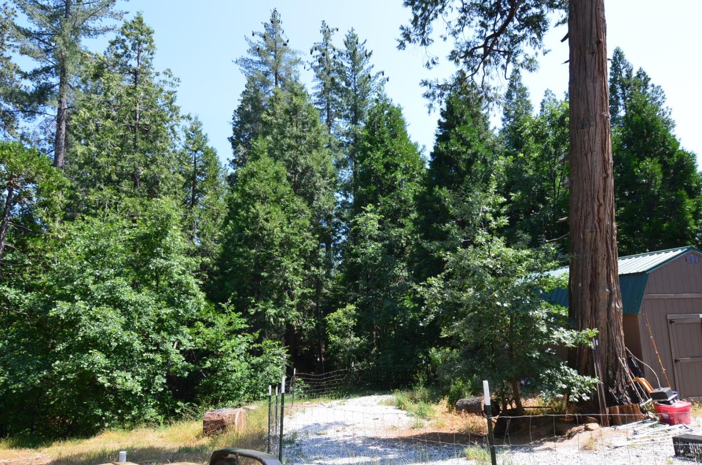 662 Roan Way Avery, CA 95224 - Photo 11 of 23 a view of a street view