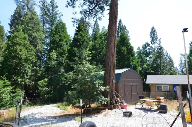a view of backyard of barbeque oven and trees