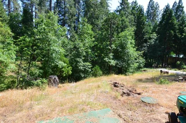 a view of a yard with trees