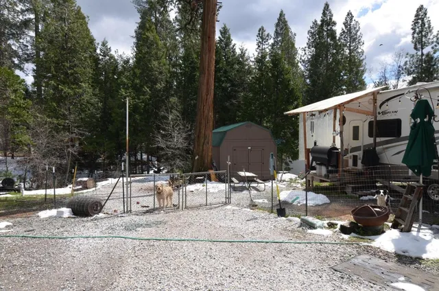 a view of a backyard of a house