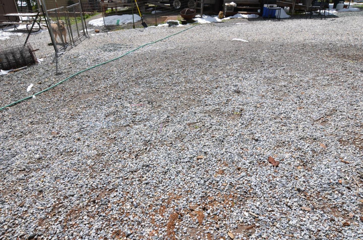 662 Roan Way Avery, CA 95224 - Photo 23 of 23 a view of a backyard of a house