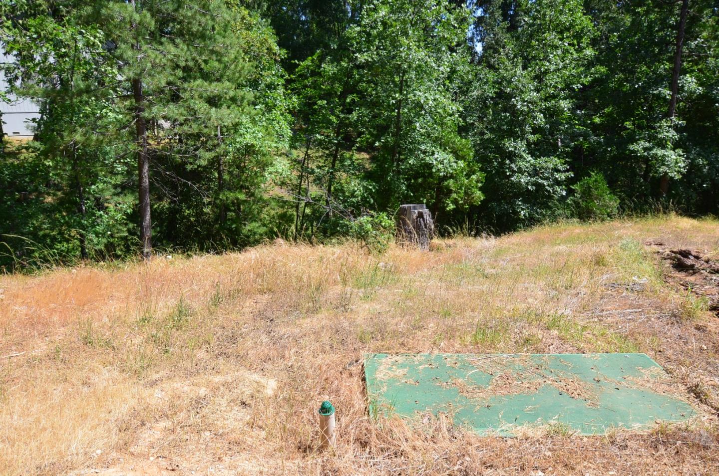 662 Roan Way Avery, CA 95224 - Photo 3 of 23 a view of a yard covered in snow