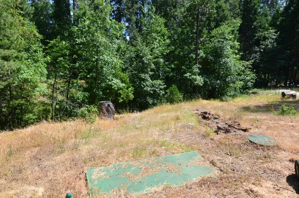 a view of a backyard of the house