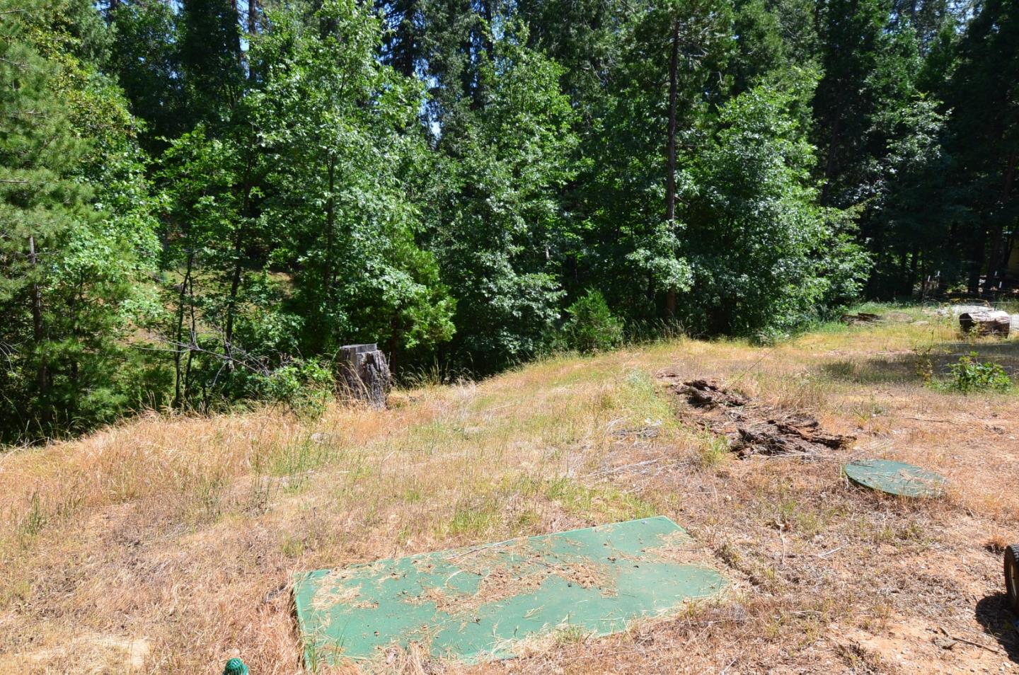 662 Roan Way Avery, CA 95224 - Photo 4 of 23 a view of a backyard of the house