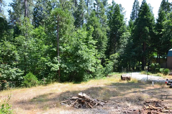 a view of side of a yard