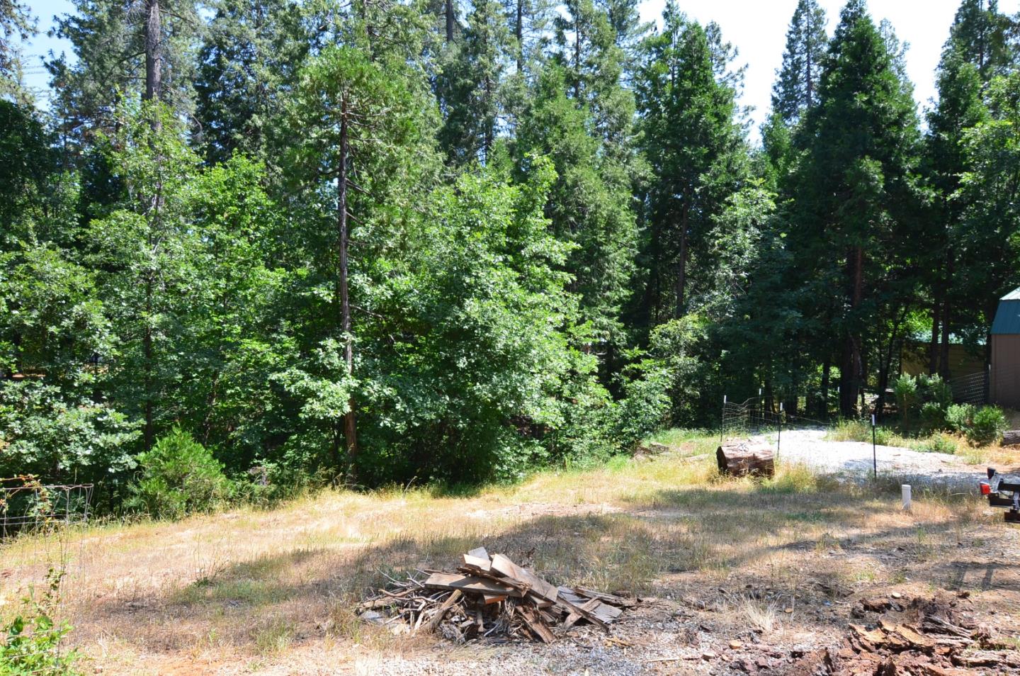 662 Roan Way Avery, CA 95224 - Photo 6 of 23 a view of side of a yard