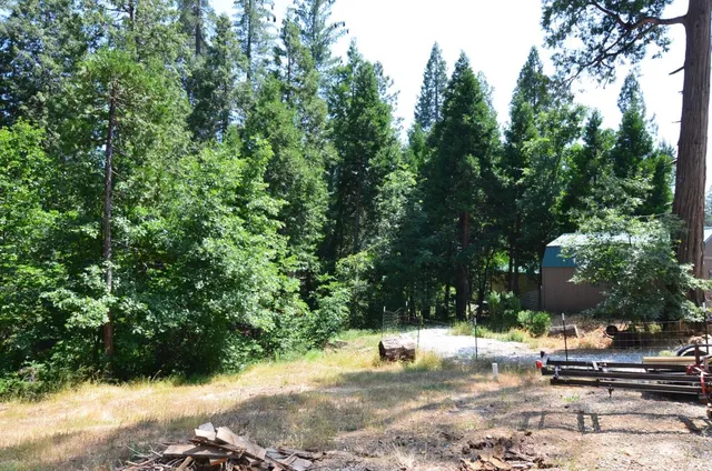 a view of backyard of a house