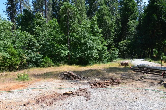 a view of a yard with a tree