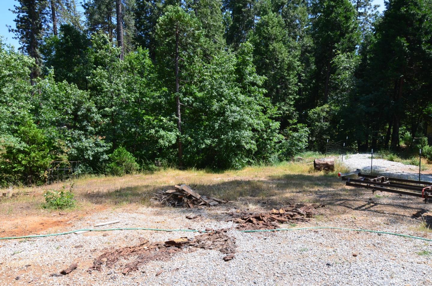 662 Roan Way Avery, CA 95224 - Photo 8 of 23 a view of a yard with a tree