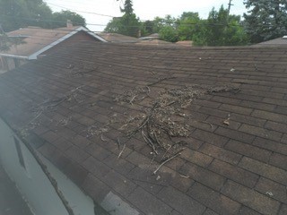 15112 East End Avenue Dolton, IL 60419 - Photo 7 of 63