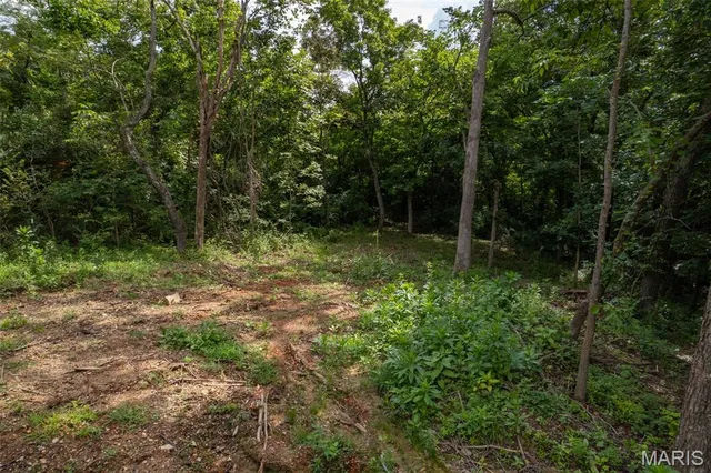 $48,000 | 9793 Grove Drive, Bonne Terre, MO 63628