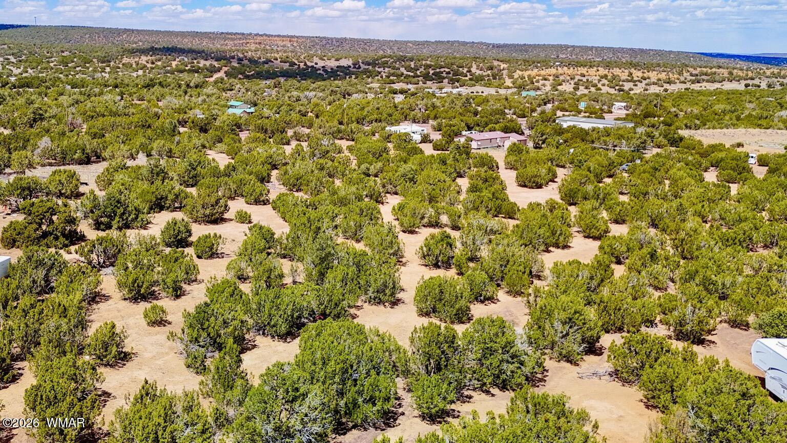 15 County Road Show Low, AZ 85901 - Photo 6 of 8 a view of a field with an outdoor space