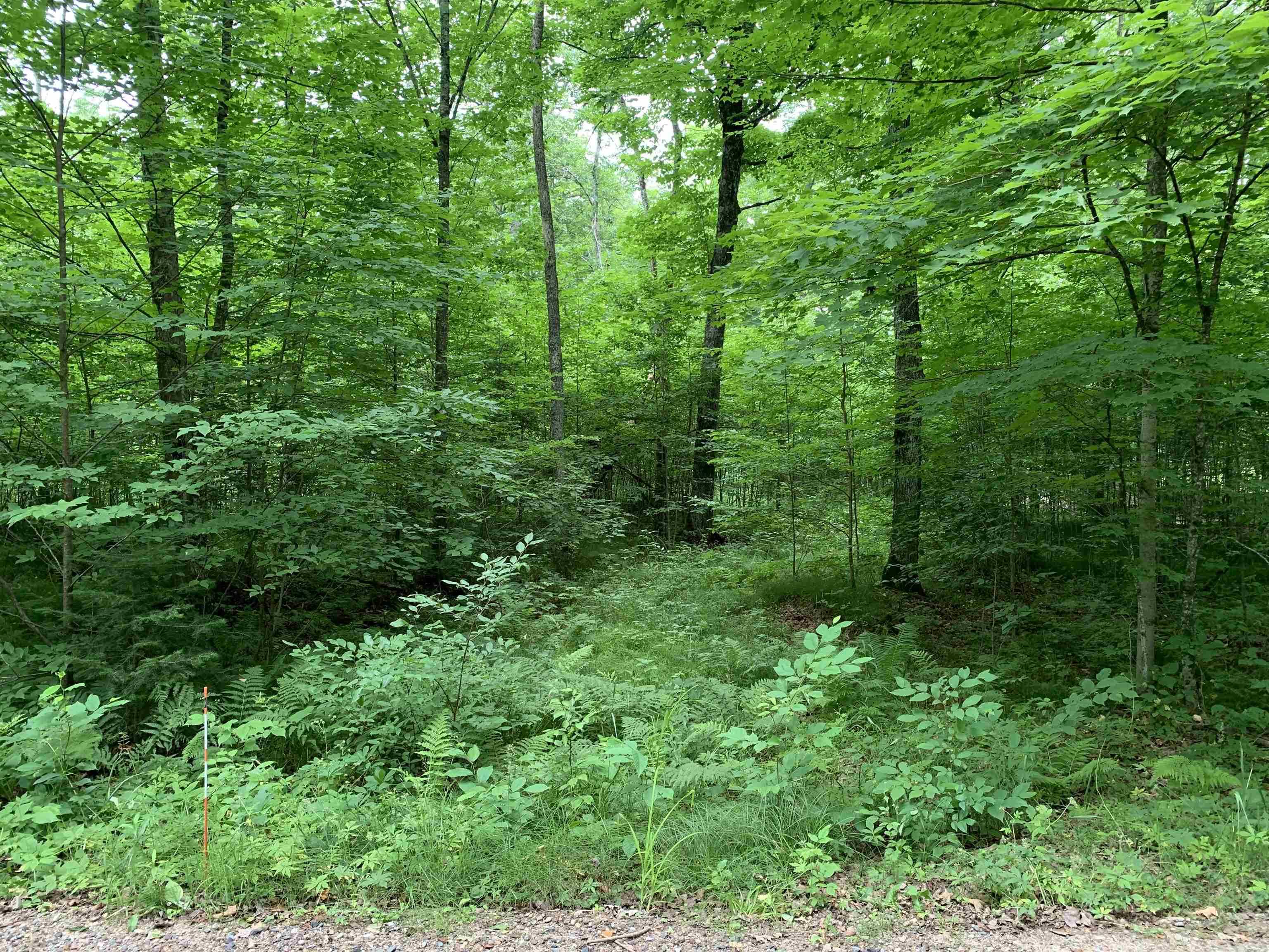 0 Smt Wds Lane Gleason, WI 54435 - Photo 13 of 17
