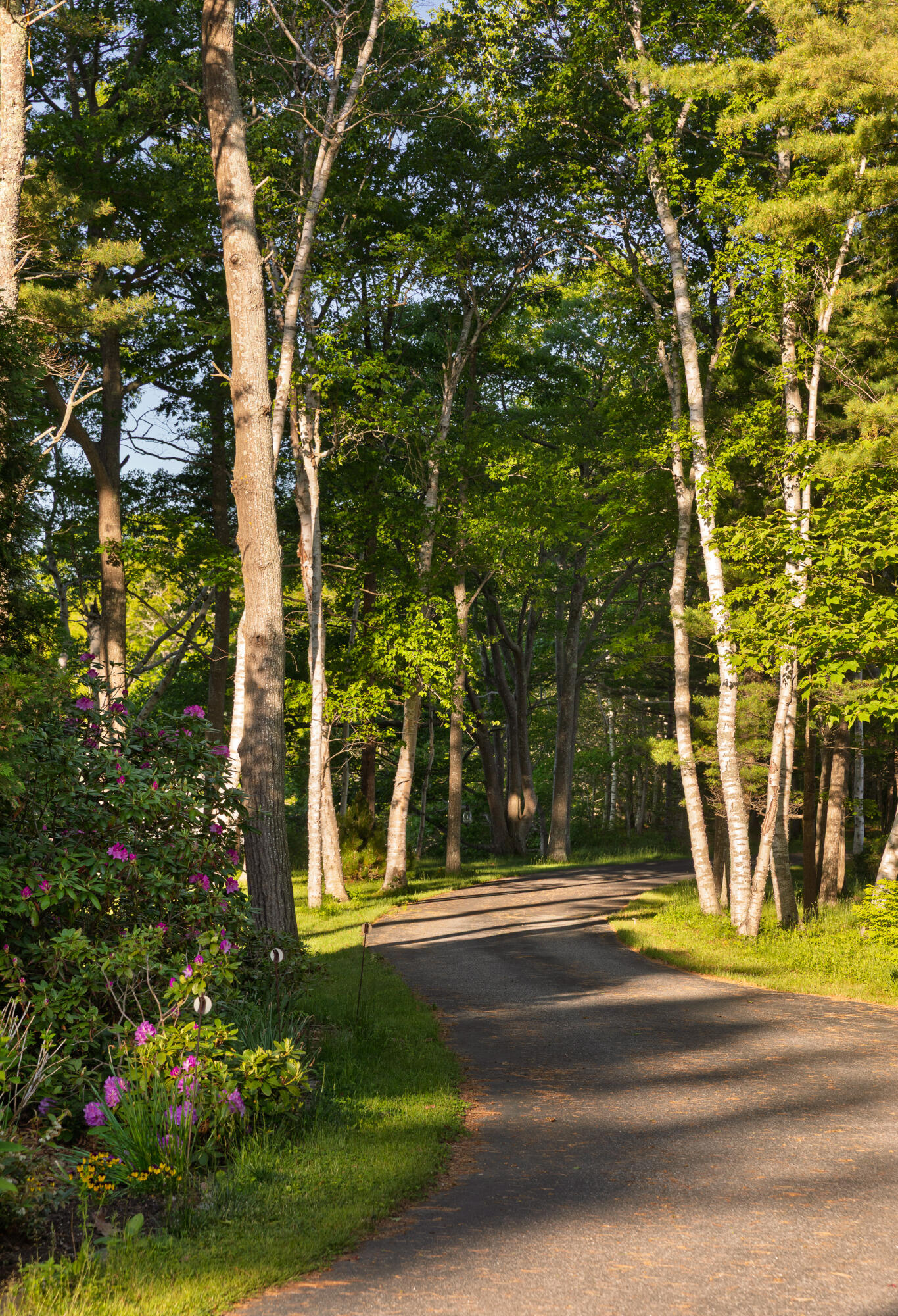 90 Cornfield Point Road Yarmouth, ME 04096 - Photo 50 of 51 Long softly winding driveway driveway