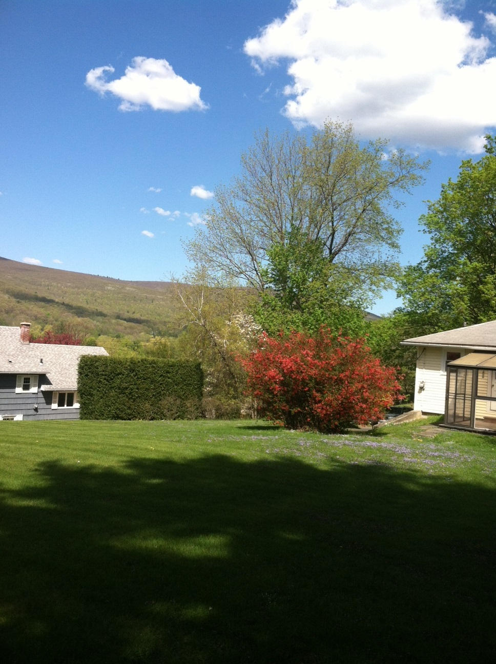 199 Luce Road Williamstown, MA 01267 - Photo 2 of 21 View 2