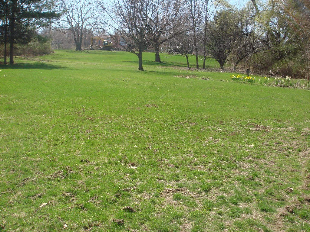 199 Luce Road Williamstown, MA 01267 - Photo 16 of 21 Yard