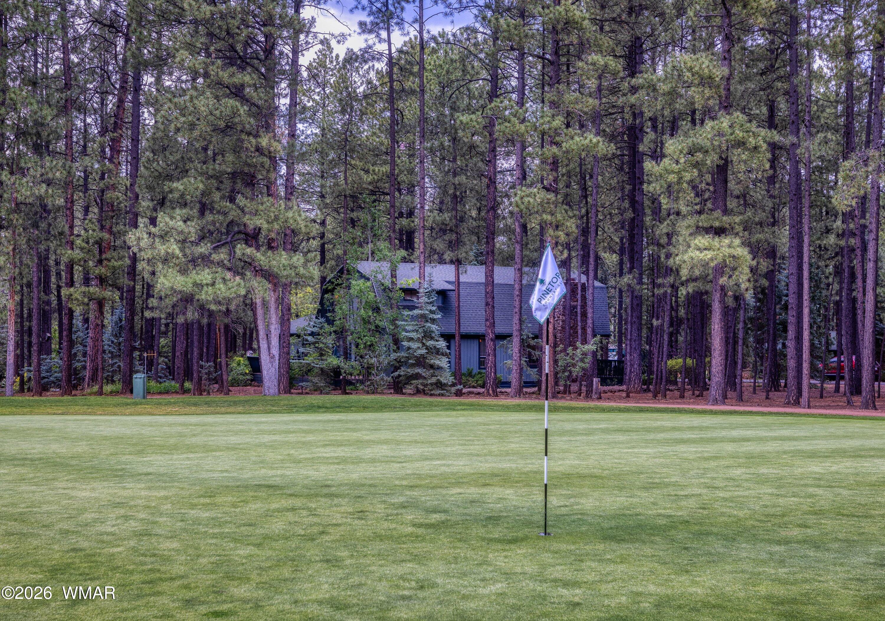 8085 Indian Bend Road Pinetop, AZ 85935 - Photo 2 of 44