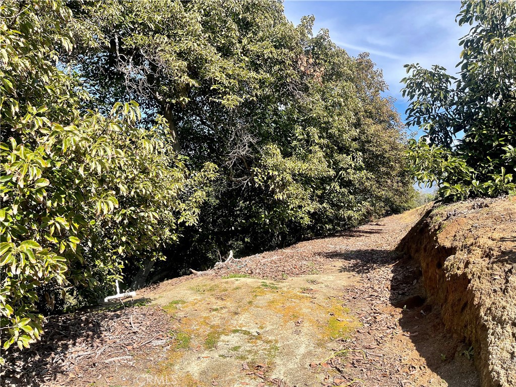 26915 Muutama Road Valley Center, CA 92082 - Photo 11 of 40