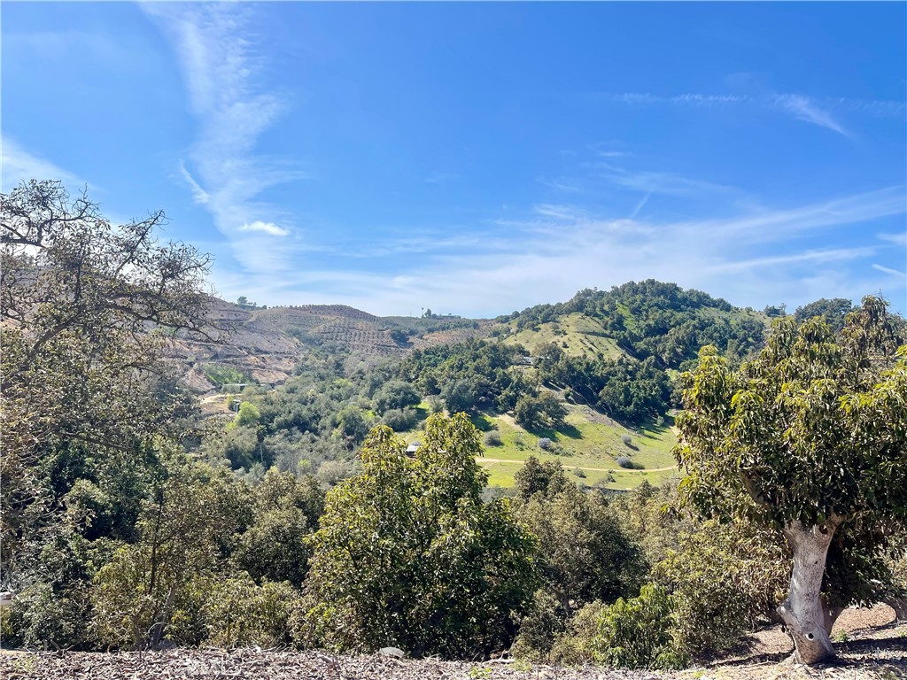 26915 Muutama Road Valley Center, CA 92082 - Photo 15 of 40 a view of a city with green space