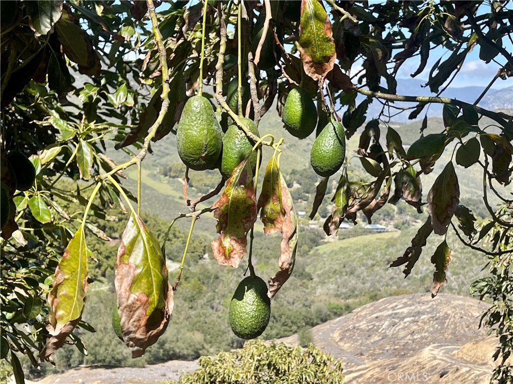 26915 Muutama Road Valley Center, CA 92082 - Photo 19 of 40