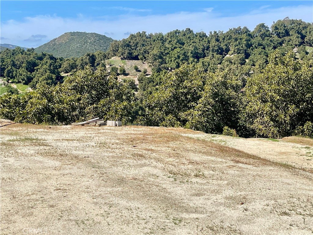 26915 Muutama Road Valley Center, CA 92082 - Photo 20 of 40 a view of outdoor space and mountain view