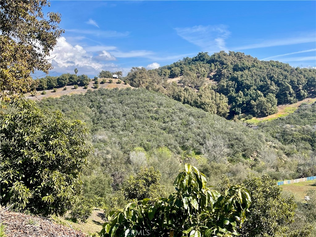 26915 Muutama Road Valley Center, CA 92082 - Photo 21 of 40 a view of a large yard with lots of green space