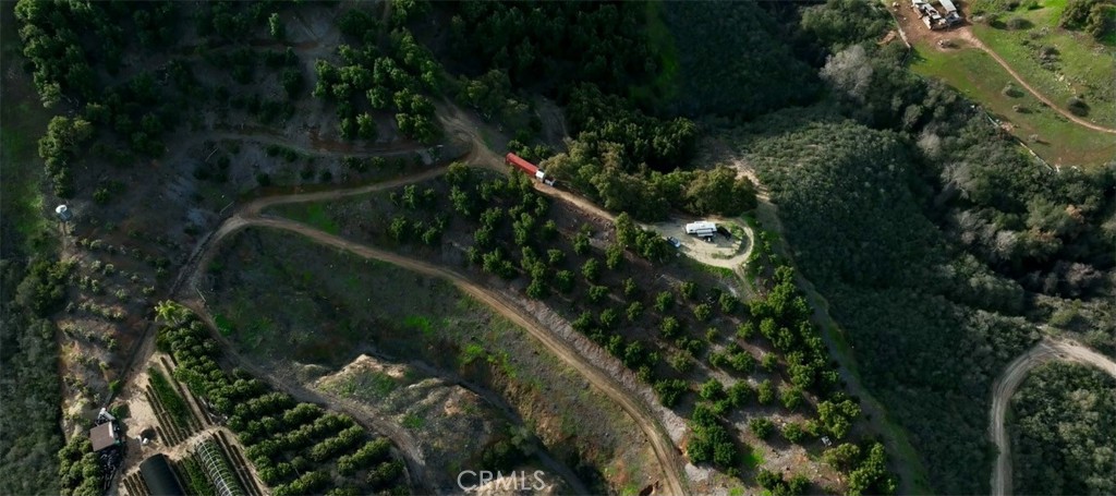 26915 Muutama Road Valley Center, CA 92082 - Photo 29 of 40 a view of a yard