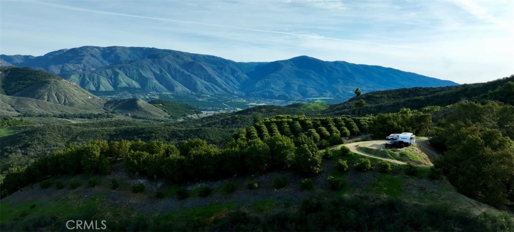 26915 Muutama Road Valley Center, CA 92082 - Photo 34 of 40 a backyard of a house with lots of green space