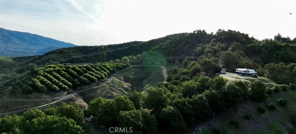 26915 Muutama Road Valley Center, CA 92082 - Photo 35 of 40 a view of a lot of trees and bushes