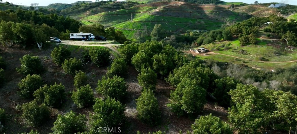 26915 Muutama Road Valley Center, CA 92082 - Photo 37 of 40 a view of a green yard with large trees