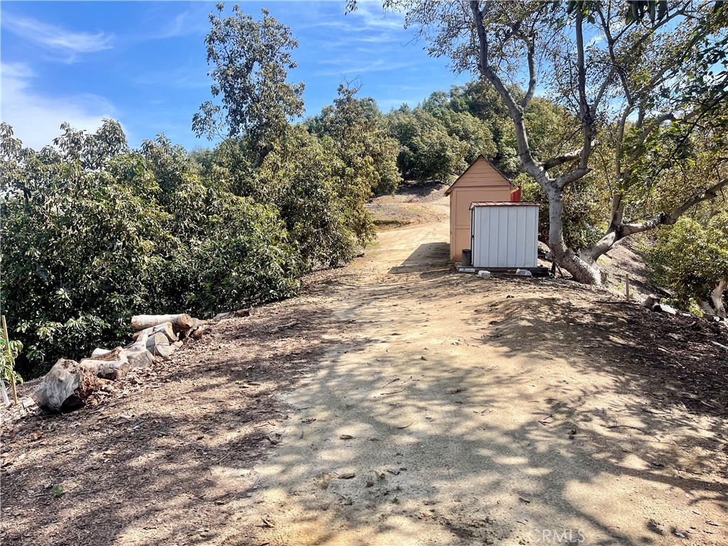 26915 Muutama Road Valley Center, CA 92082 - Photo 4 of 40 a view of a outdoor space with a tree