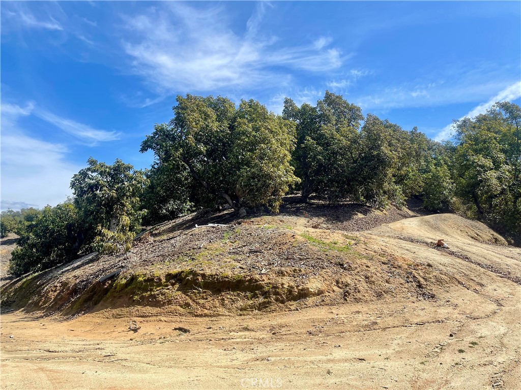 26915 Muutama Road Valley Center, CA 92082 - Photo 7 of 40 a view of a yard