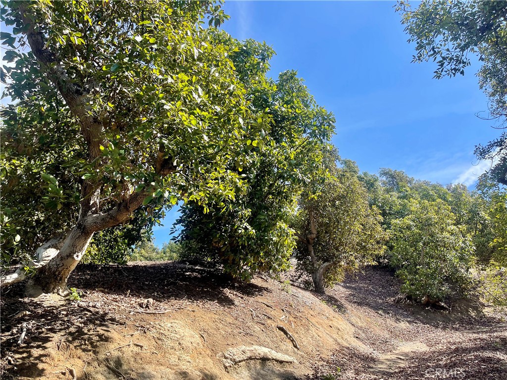26915 Muutama Road Valley Center, CA 92082 - Photo 8 of 40 a view of outdoor space and yard