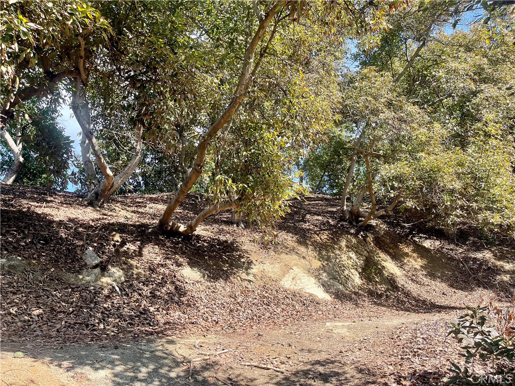 26915 Muutama Road Valley Center, CA 92082 - Photo 9 of 40